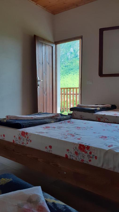 Driti GH Nderlysa Hotell Shkodër Eksteriør bilde